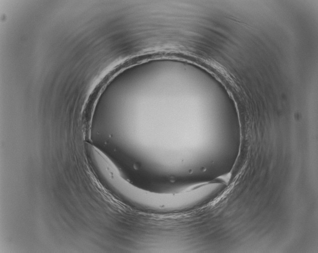 X0000060581118200512011726