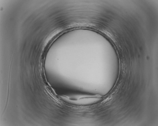 X0000060581119200512011726