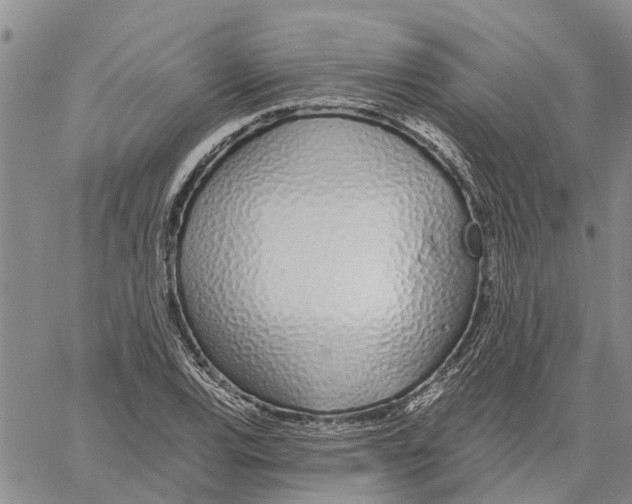 X0000060581120200512011726