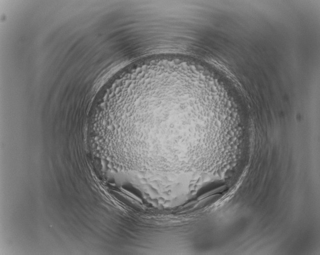 X0000060581121200512011726