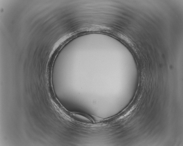 X0000060581122200512011726