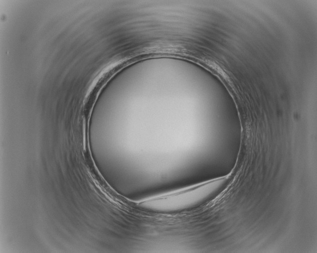 X0000060581123200512011726