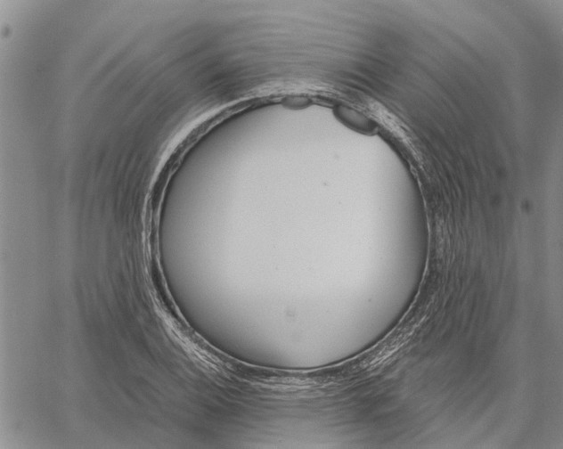 X0000060581124200512011726