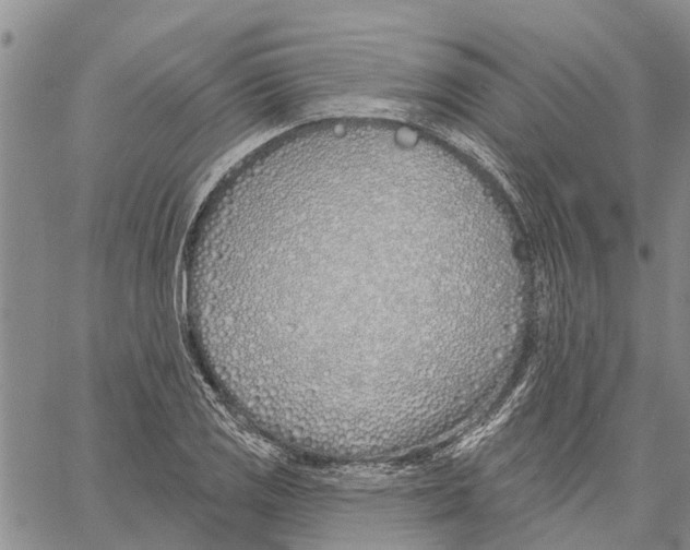 X0000060581125200512011726