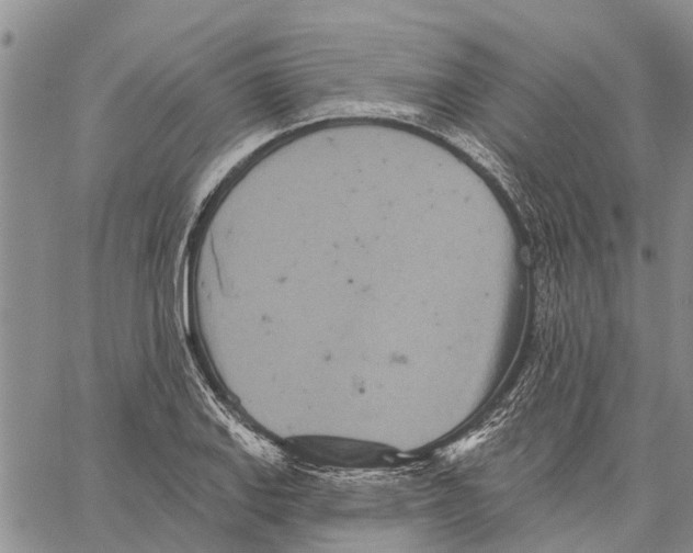 X0000060581127200512011726