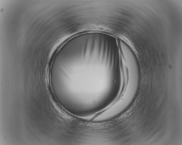 X0000060581128200512011726