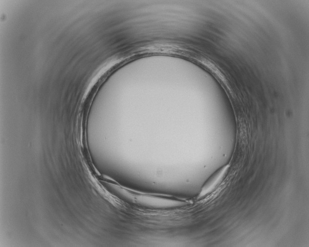 X0000060581131200512011726