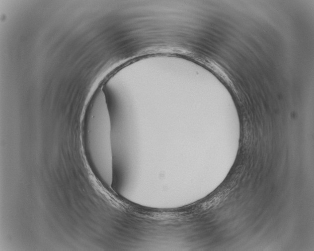 X0000060581132200512011726