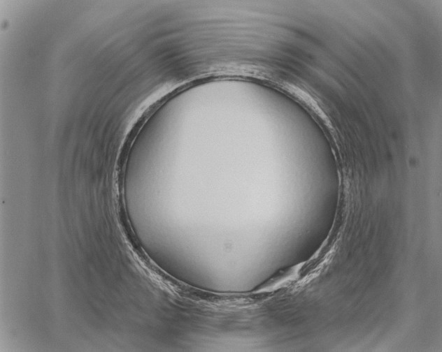 X0000060581133200512011726