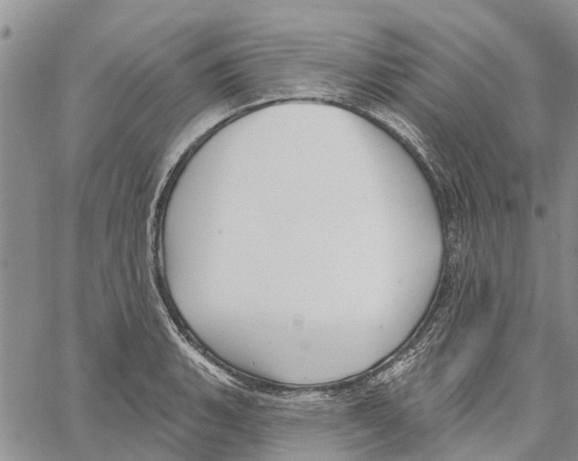 X0000060581135200512011726