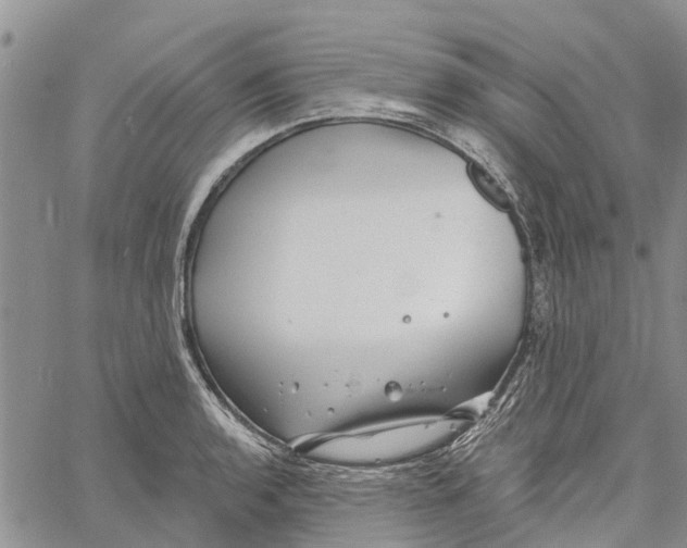 X0000060581136200512011726