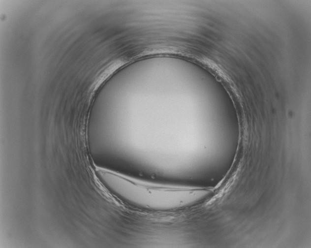 X0000060581137200512011726