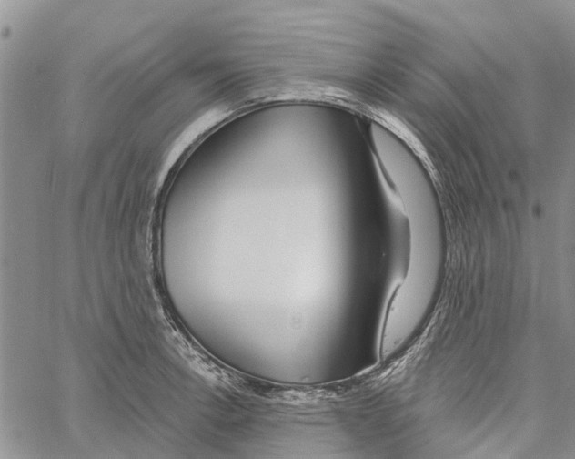 X0000060581138200512011726