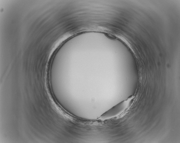 X0000060581139200512011726