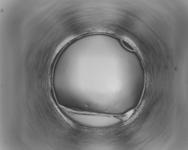 X0000060581141200512011726