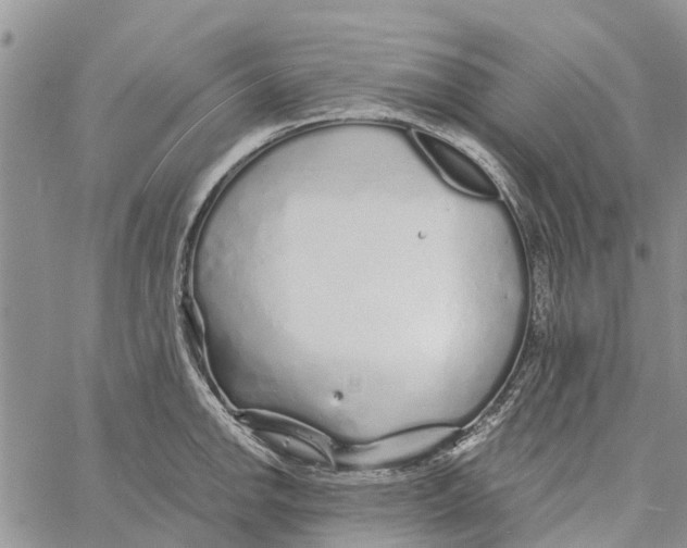 X0000060581142200512011726