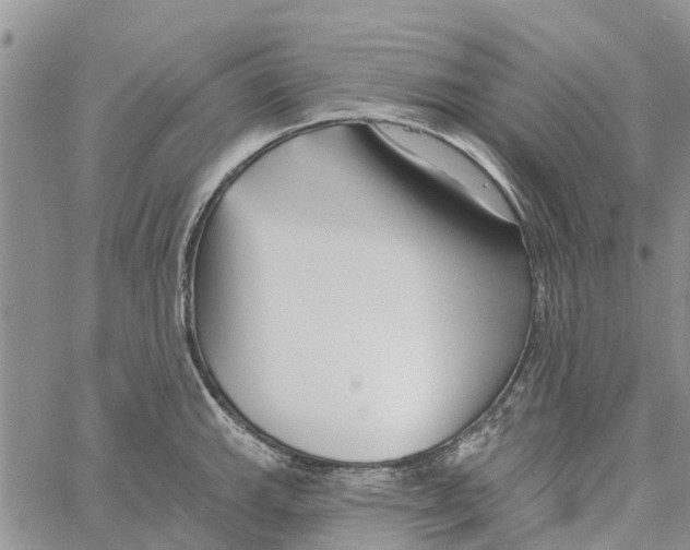 X0000060581143200512011726