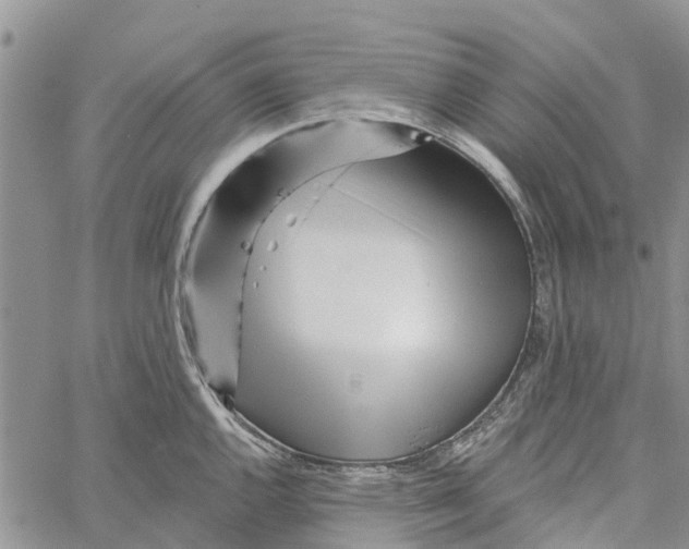 X0000060581144200512011726