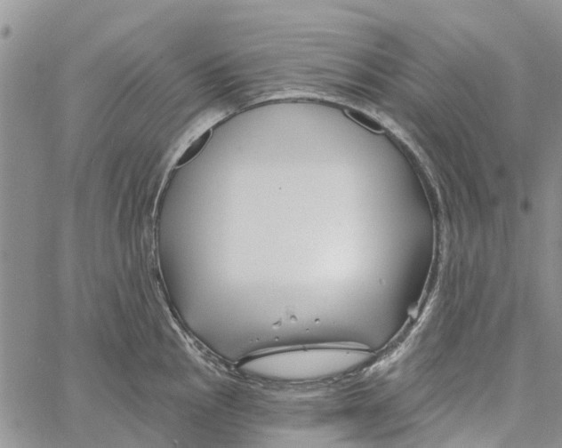 X0000060581145200512011726