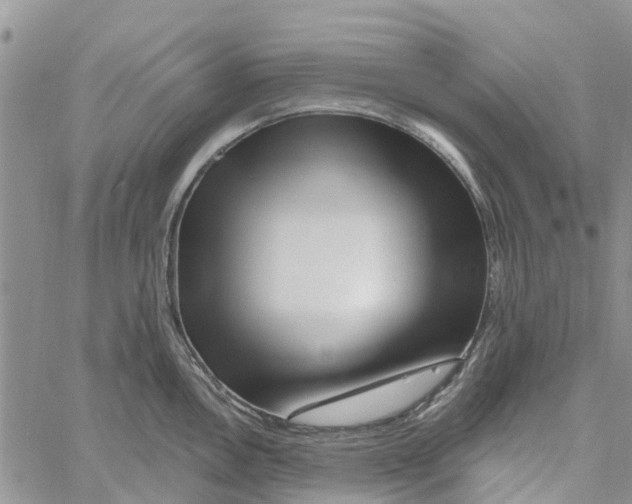 X0000060581146200512011726