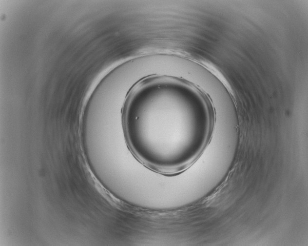 X0000060581148200512011726