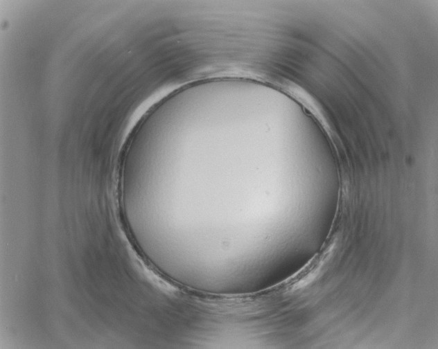 X0000060581149200512011726