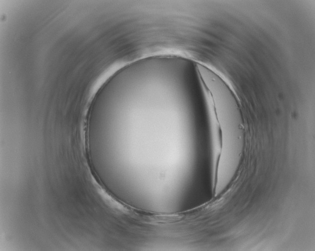 X0000060581151200512011726