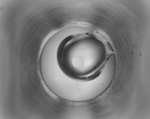 X0000060581152200512011726