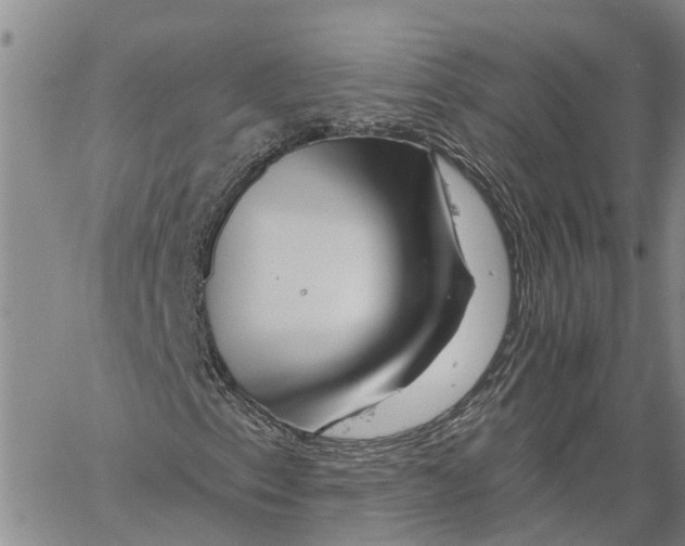 X0000060581153200512011726