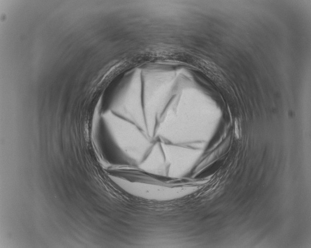 X0000060581155200512011726