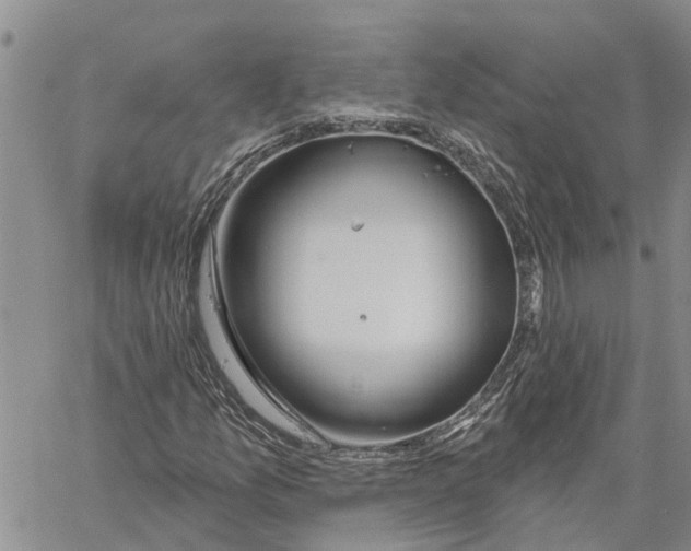 X0000060581157200512011725