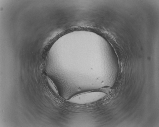 X0000060581159200512011725