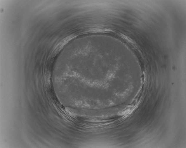 X0000060581161200512011725