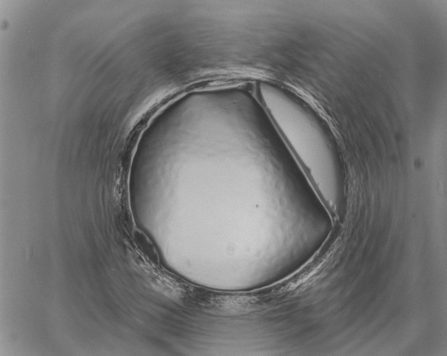 X0000060581163200512011725