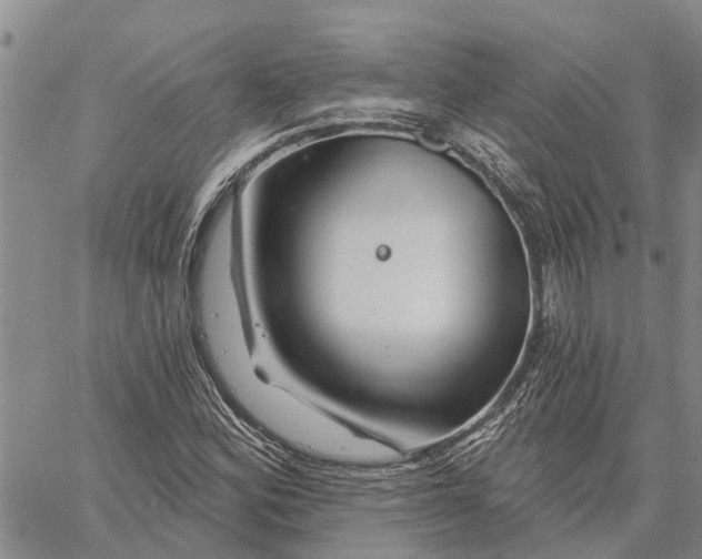 X0000060581164200512011725