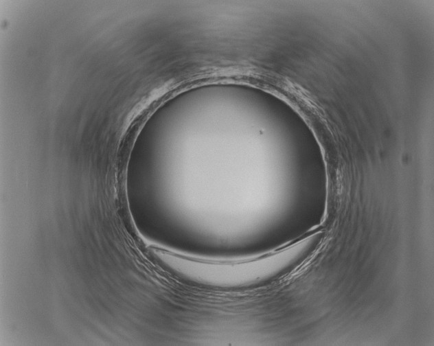 X0000060581165200512011725