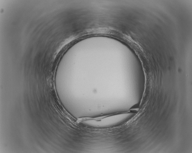 X0000060581166200512011725