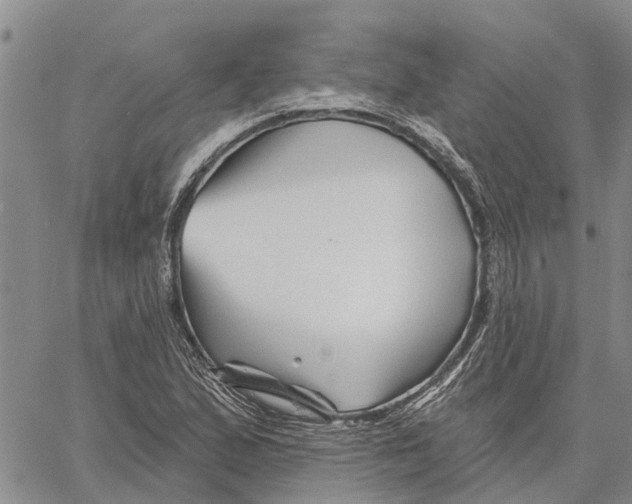 X0000060581167200512011725