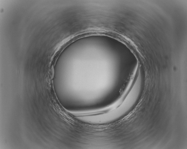 X0000060581168200512011725