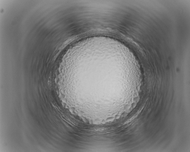 X0000060581170200512011725