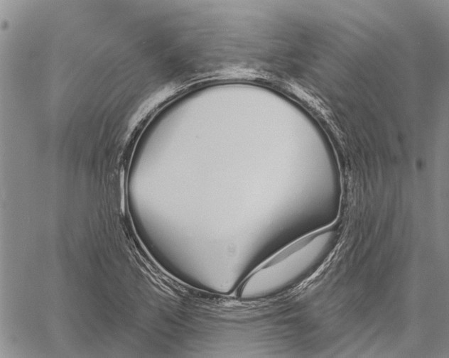 X0000060581171200512011725