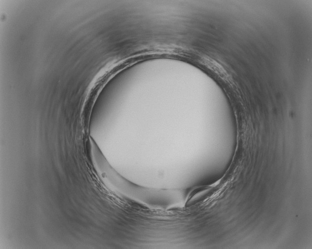 X0000060581172200512011725