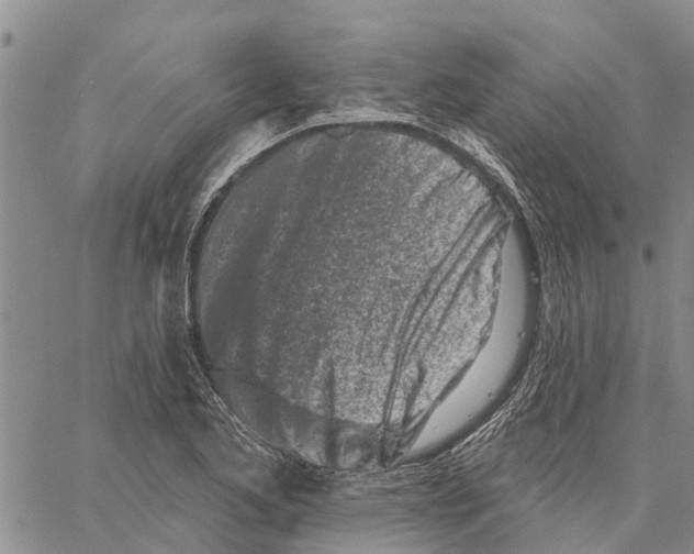 X0000060581173200512011725