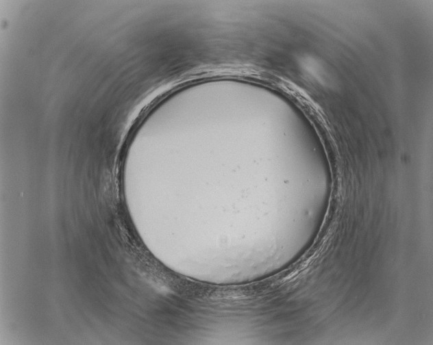 X0000060581174200512011725