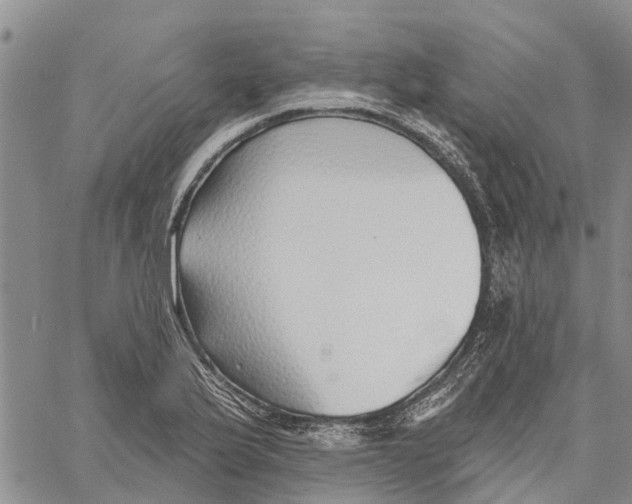 X0000060581175200512011725