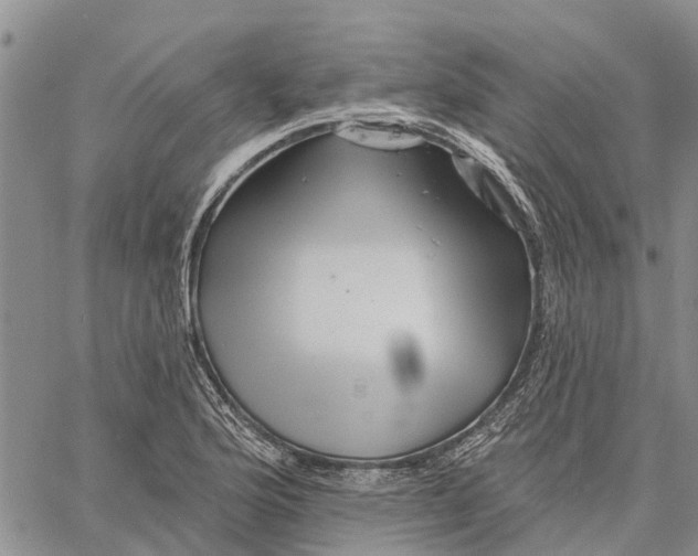 X0000060581176200512011725