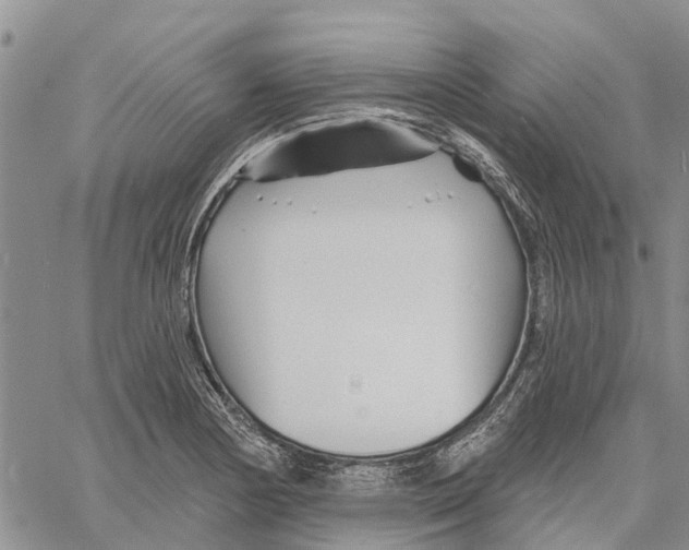 X0000060581178200512011725