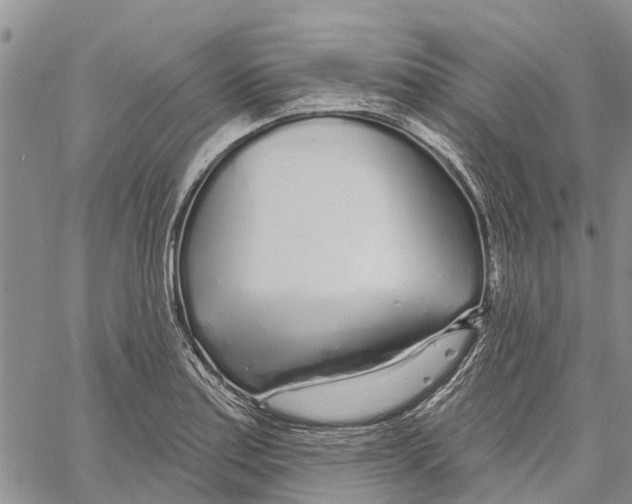 X0000060581179200512011725