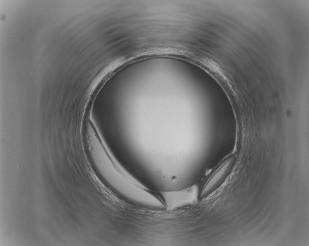 X0000060581181200512011725