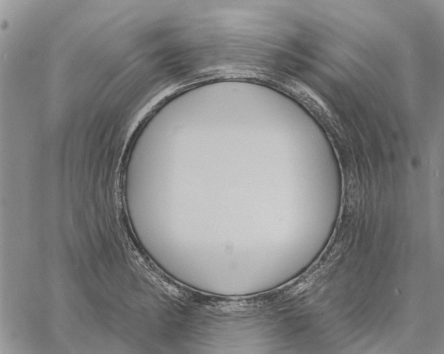 X0000060581182200512011725